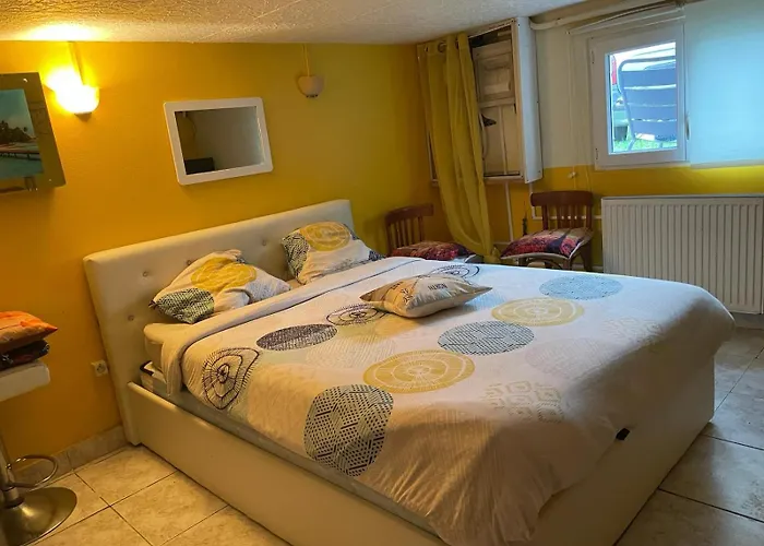 Logement Entree Independant, Sous Sol Eclaire, Cuisine, Sdb Wc, Jardin